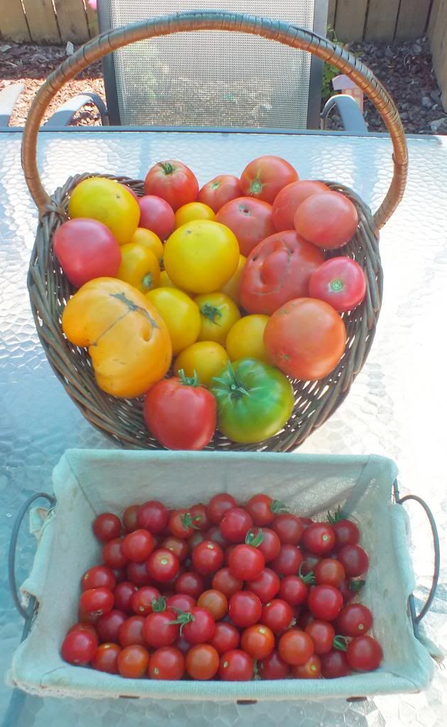 Jul 15 crop photo Jul15crop2_zps98bf1ef8.jpg